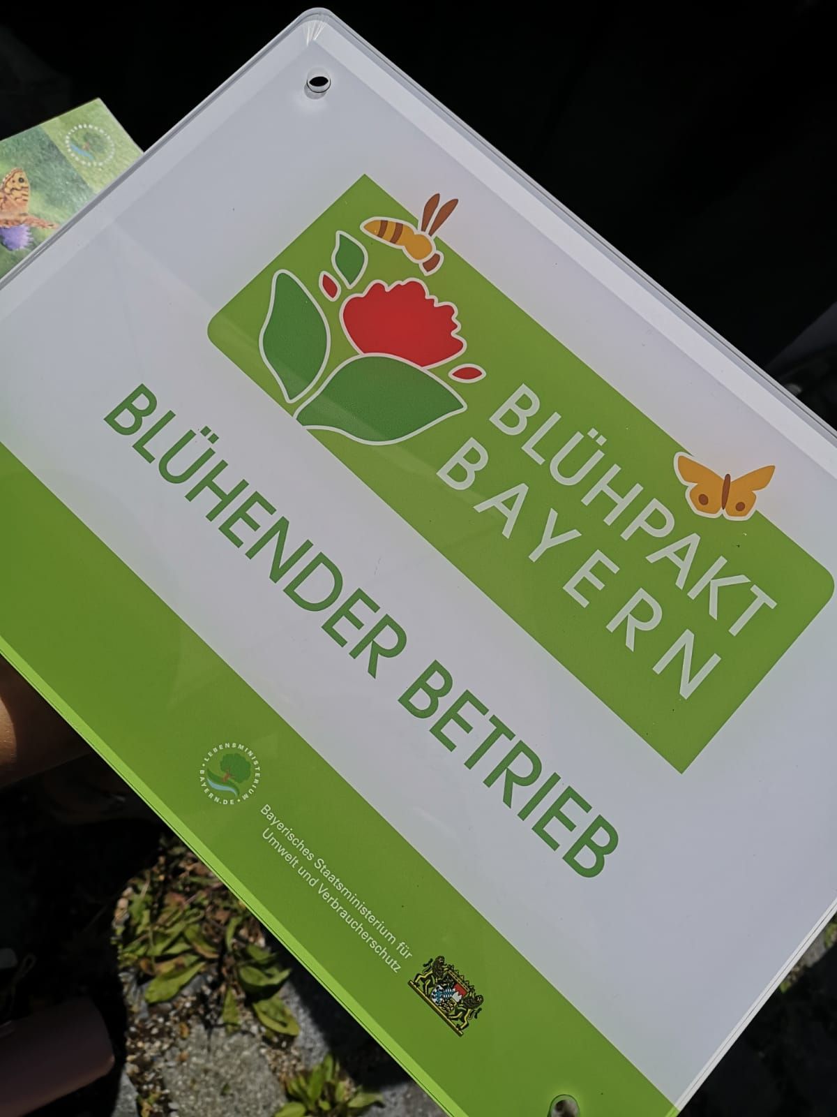 Auszeichnung 